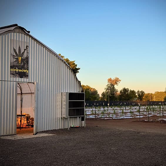 CowboyRX Farm